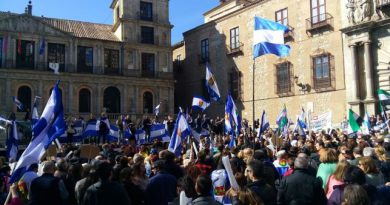 Manifestacion-Toledo-recuperacion-Talavera-Reina-sostalavera-estatuto-reforma-autonomia